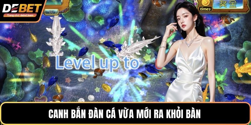 Canh bắn đàn cá vừa mới ra khỏi bàn