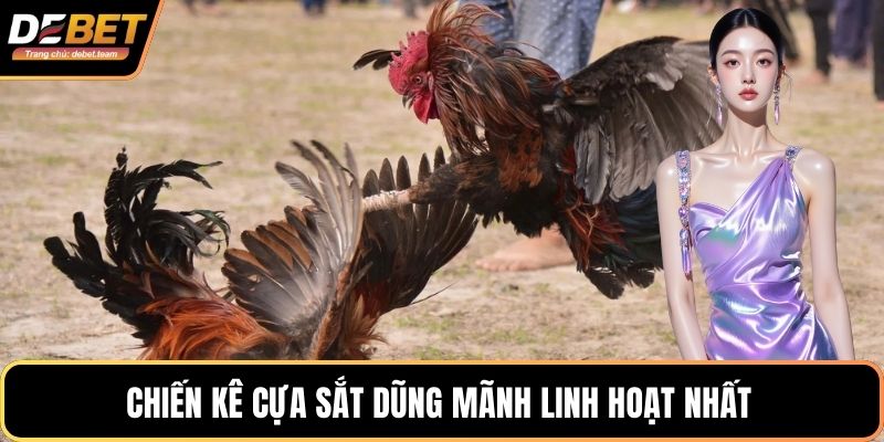 Chiến kê cựa sắt dũng mãnh linh hoạt nhất