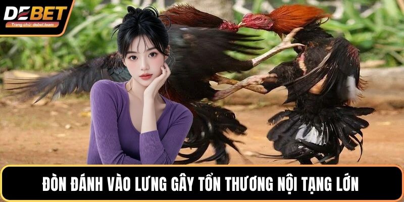 Đòn đánh vào lưng gây tổn thương nội tạng lớn