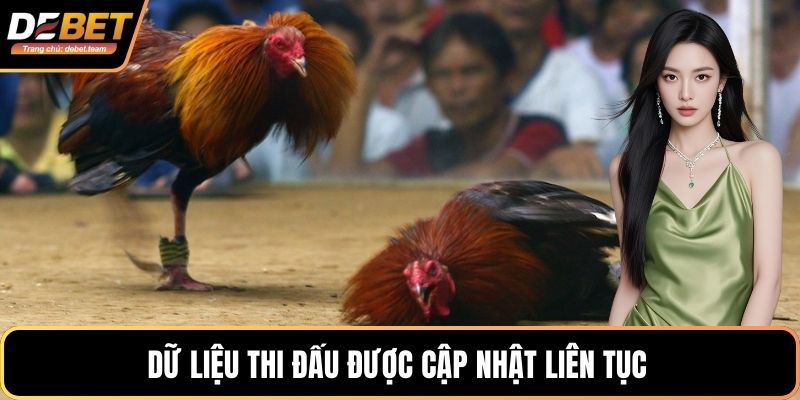 Dữ liệu thi đấu được cập nhật liên tục
