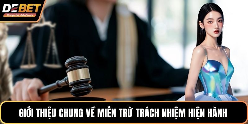 Giới thiệu chung về miễn trừ trách nhiệm hiện hành