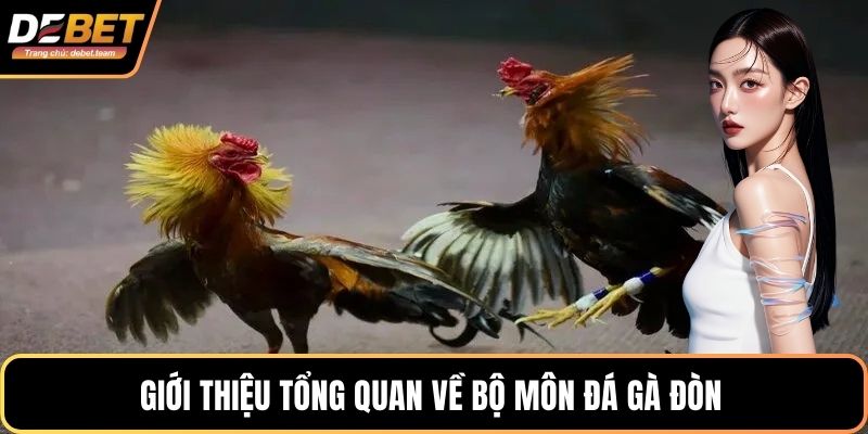 Giới thiệu tổng quan về bộ môn đá gà đòn